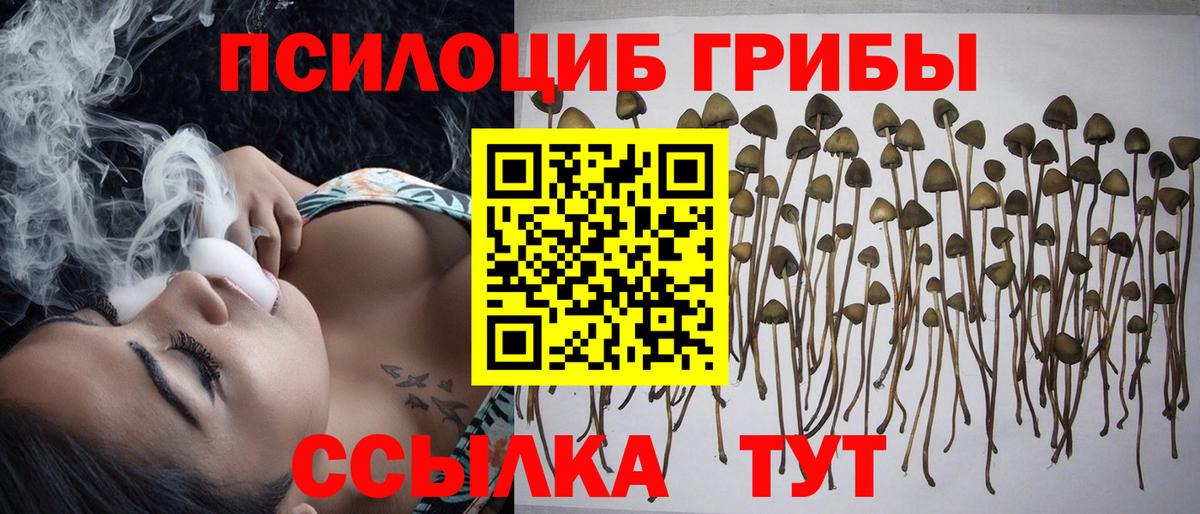 Псилоцибиновые грибы GOLDEN TEACHER Избербаш