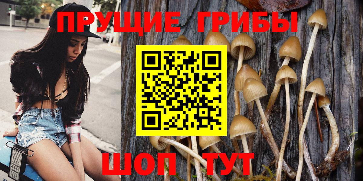 Галлюциногенные грибы GOLDEN TEACHER  Вход с VPN  Избербаш 